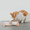 Double 28.7Oz Ceramic Pet Bowls with Wooden Stand Raised