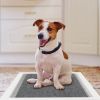 40Pcs Potty Training Pads - Super Absorbent, Leak-proof, and Quick Dry