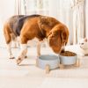 Double 28.7Oz Ceramic Pet Bowls with Wooden Stand Raised