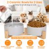Double 28.7Oz Ceramic Pet Bowls with Wooden Stand Raised