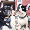 Spiked Studded Dog Collar with a Squeak Ball Gift